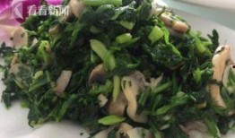 哈尔滨爆料野菜案件最新,揭秘背后真相与食品安全警钟